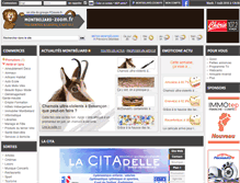 Tablet Screenshot of montbeliard-zoom.fr